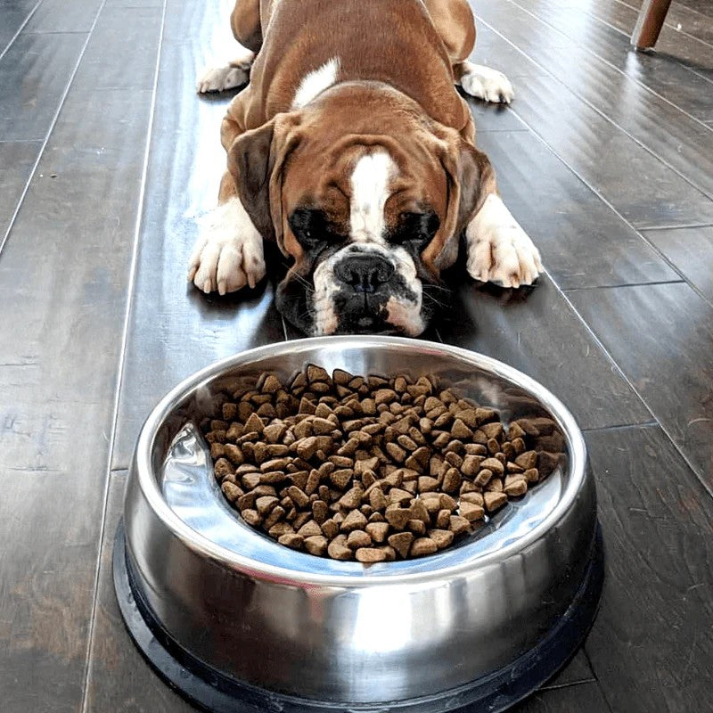 Bowls/Feeding
