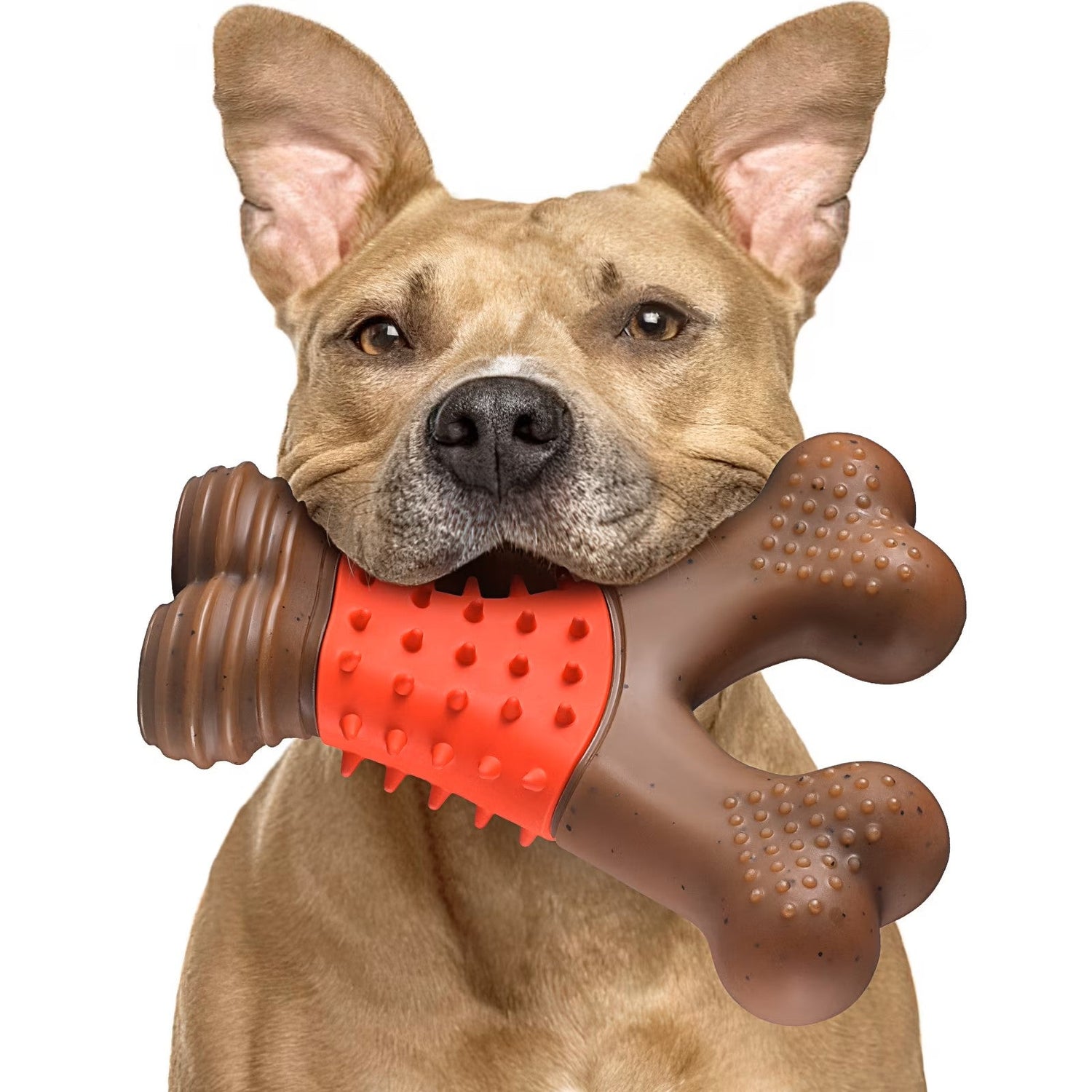 Dog/Cat Toys