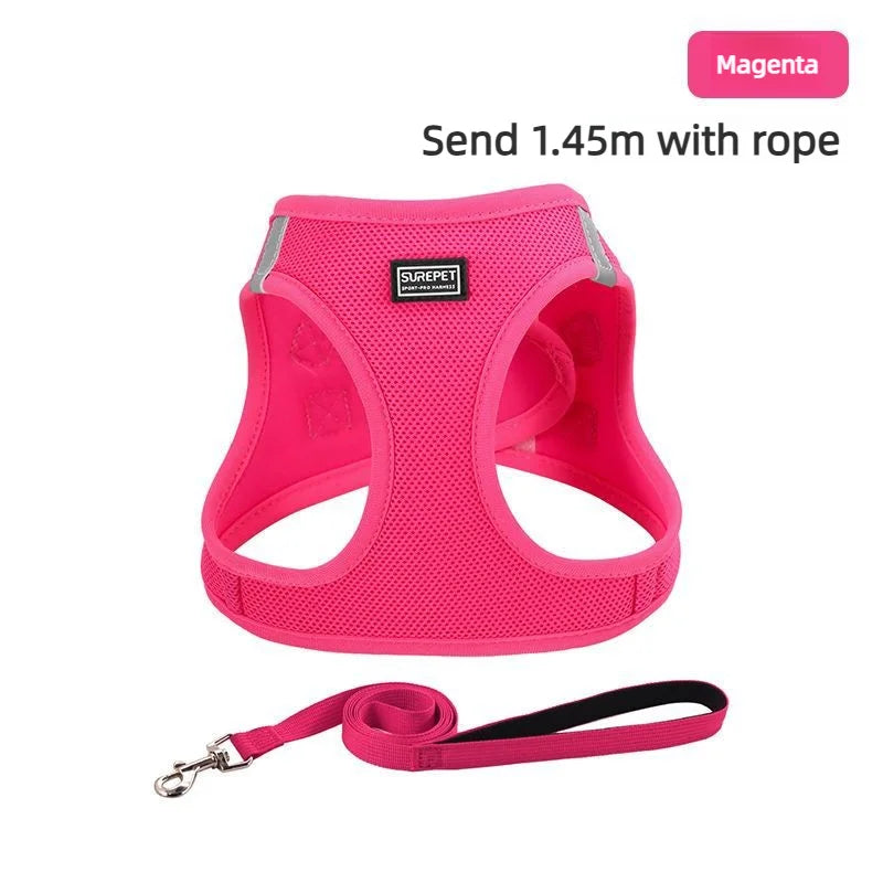 Anti-escape cat leash for outdoor use, suitable for small dogs like Teddy and Bichon, dog leash, harness, dog chain, cat leash