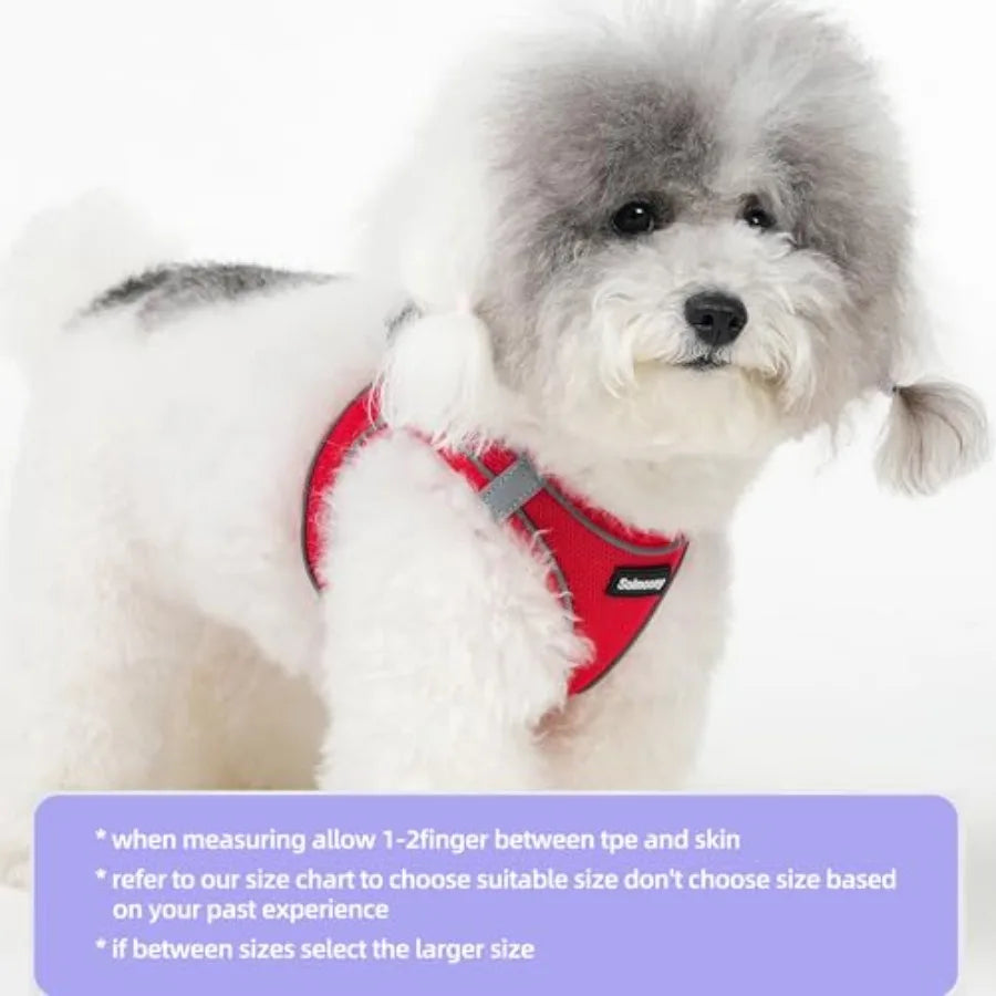 Sparkly Medium Dog Harness and Leash Set, Step in Soft Light Puppy Vest, Breathable Reflective Pet Harness for Walking, Puppy H