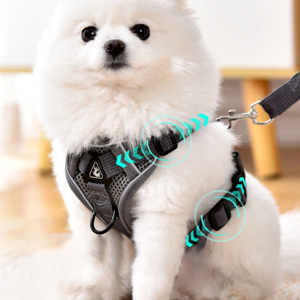 Dog Collars Leash No Pull Dog Harness and Leash Set Adjustable Pet Harness Vest Breathable Mesh Pet Harnesses Medium Small Set