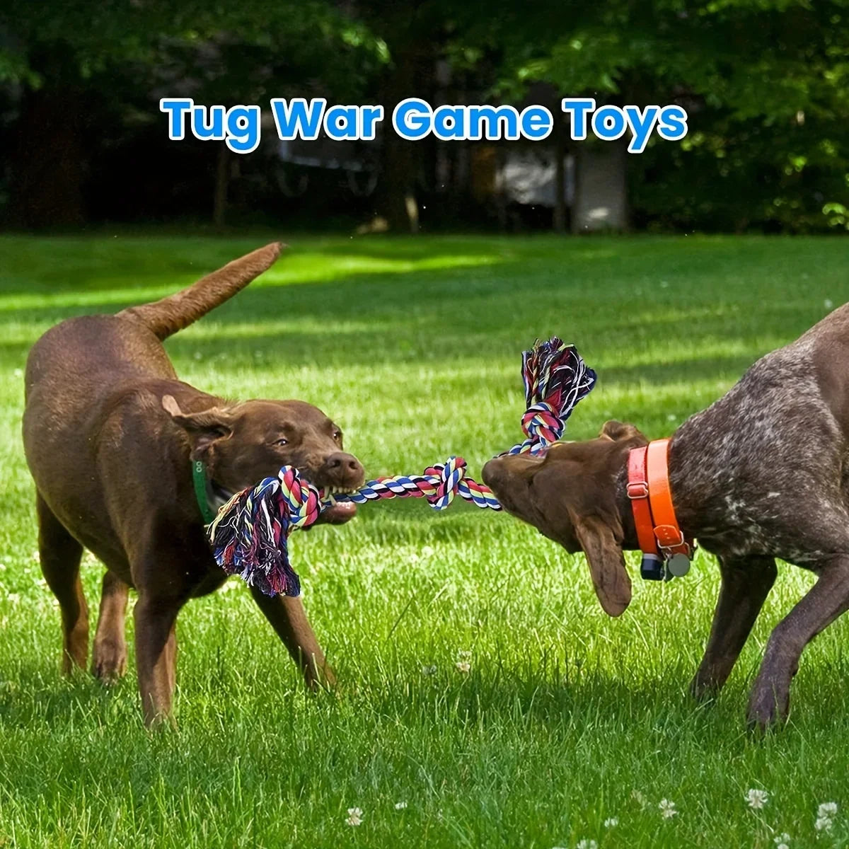 Knot Dog Toys Indestructible Durable Dog Chew Toys Tug of War Interactive Toys Suitable for Medium and Large Dogs Pet Supplies
