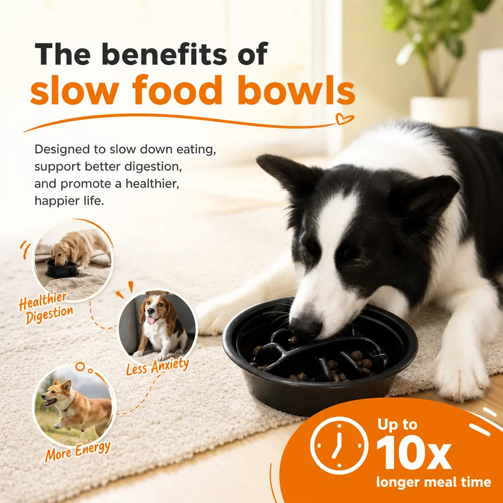 Elevated Dog Feeder Bowls Adjustable Raised Stand with Double Stainless Steel Food Water Bowls Small Medium Large Dogs