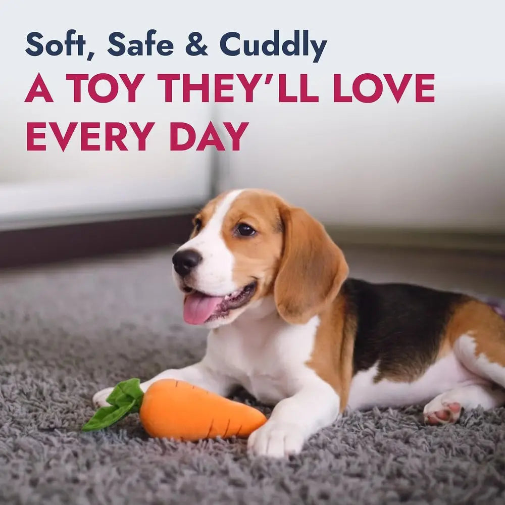 Durable Plush Dog and Cat Toys with Multi-Squeaks and Crinkle Paper. Orange, 8-Inch Carrot