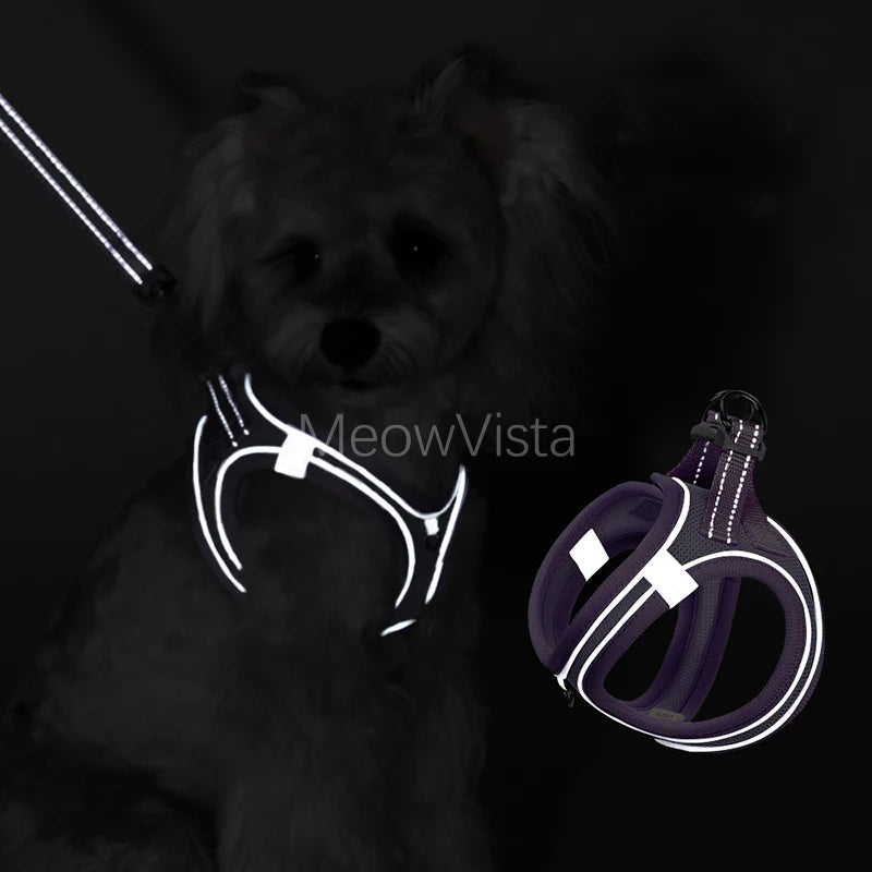 Breathable Sport Small Dog Harness Set Reflective No Pull Step-in Puppy Vest Harness for Daily Walking Accesorios Para Perros