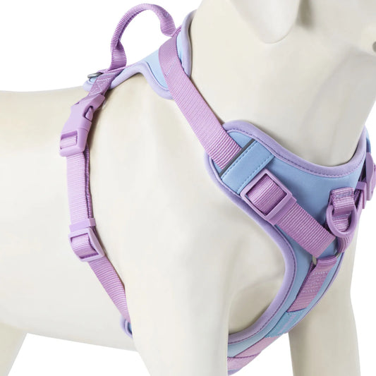 Splicing Colors for Medium Luxury Dog Harness No Pull for Large Small Dogs Adjustable Chest Strap Dog Harness Personalized