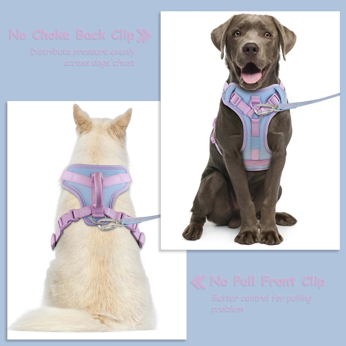 Splicing Colors for Medium Luxury Dog Harness No Pull for Large Small Dogs Adjustable Chest Strap Dog Harness Personalized