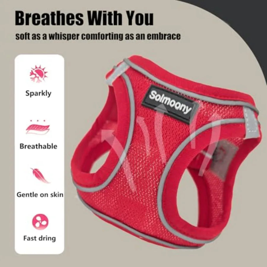 Sparkly Medium Dog Harness and Leash Set, Step in Soft Light Puppy Vest, Breathable Reflective Pet Harness for Walking, Puppy H