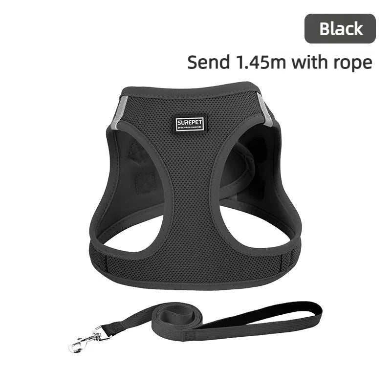 Anti-escape cat leash for outdoor use, suitable for small dogs like Teddy and Bichon, dog leash, harness, dog chain, cat leash