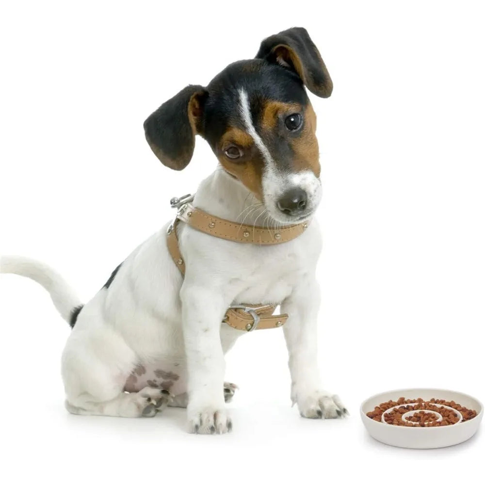 Ceramic Cat Slow Feeder Bowl Heavy Base Non-Slip Shallow Dish for Wet Food and Gravy Whisker Friendly Stress Free Mealtime Solution Anti Vomiting for Kittens Small Dogs and Pets Easy Clean Durable White Pet Food Dish