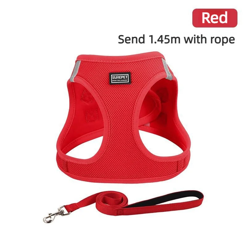 Anti-escape cat leash for outdoor use, suitable for small dogs like Teddy and Bichon, dog leash, harness, dog chain, cat leash