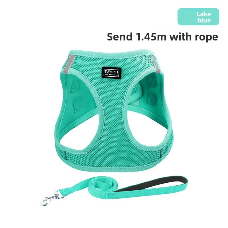 Anti-escape cat leash for outdoor use, suitable for small dogs like Teddy and Bichon, dog leash, harness, dog chain, cat leash
