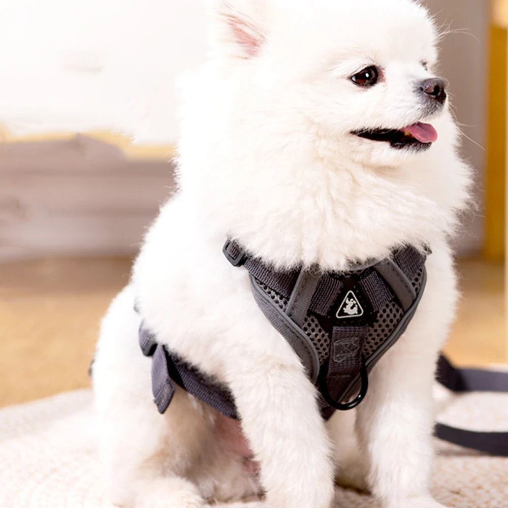 Dog Collars Leash No Pull Dog Harness and Leash Set Adjustable Pet Harness Vest Breathable Mesh Pet Harnesses Medium Small Set