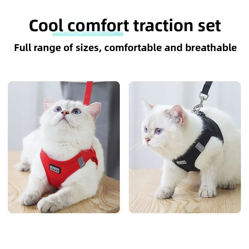 Anti-escape cat leash for outdoor use, suitable for small dogs like Teddy and Bichon, dog leash, harness, dog chain, cat leash