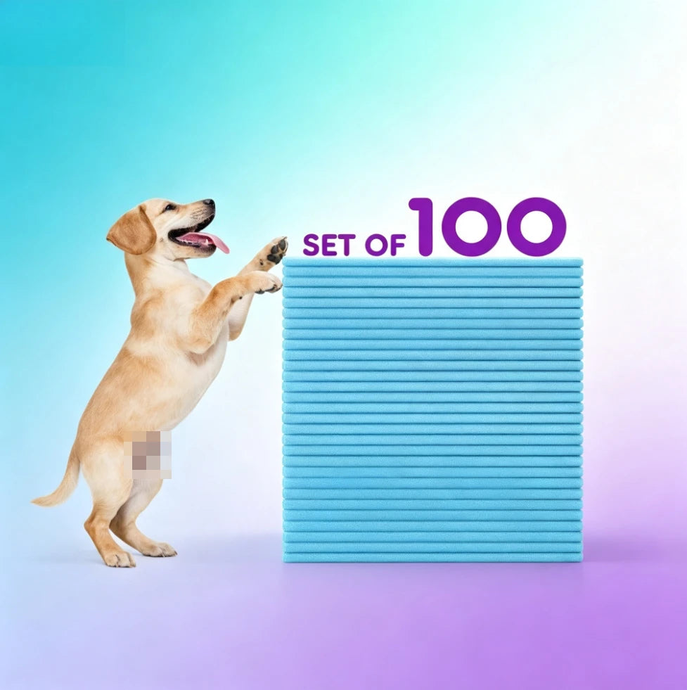 Disposable Dog Pee Pads Super Absorbent and Leak-Proof Puppy Training Pads Pet Housebreaking Pads Washable Piddle Pads 100 Count 22x22 Inches