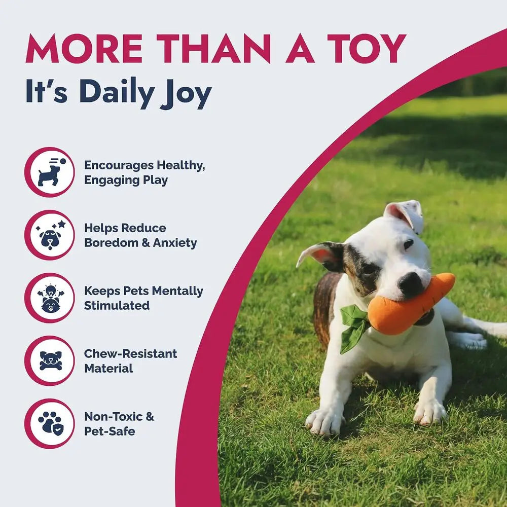 Durable Plush Dog and Cat Toys with Multi-Squeaks and Crinkle Paper. Orange, 8-Inch Carrot
