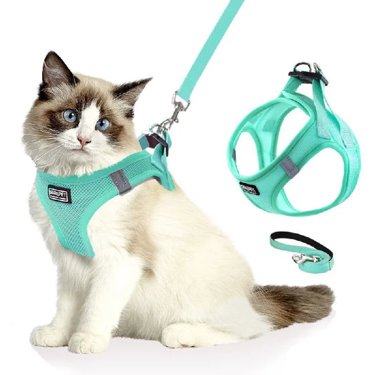 Anti-escape cat leash for outdoor use, suitable for small dogs like Teddy and Bichon, dog leash, harness, dog chain, cat leash