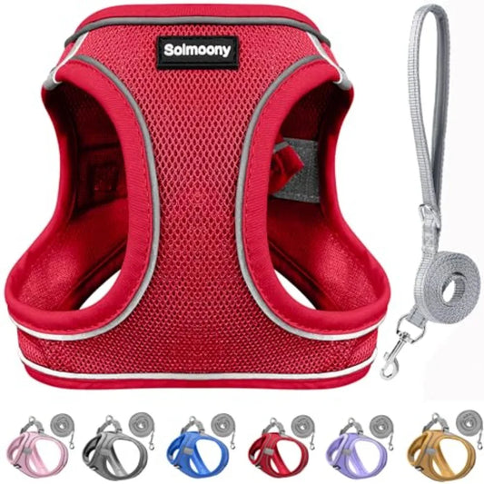 Sparkly Medium Dog Harness and Leash Set, Step in Soft Light Puppy Vest, Breathable Reflective Pet Harness for Walking, Puppy H