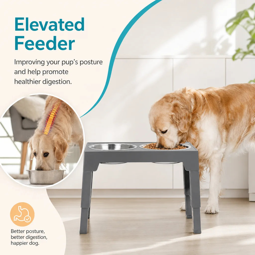Elevated Dog Feeder Bowls Adjustable Raised Stand with Double Stainless Steel Food Water Bowls Small Medium Large Dogs