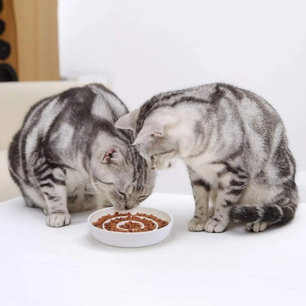 Ceramic Cat Slow Feeder Bowl Heavy Base Non-Slip Shallow Dish for Wet Food and Gravy Whisker Friendly Stress Free Mealtime Solution Anti Vomiting for Kittens Small Dogs and Pets Easy Clean Durable White Pet Food Dish