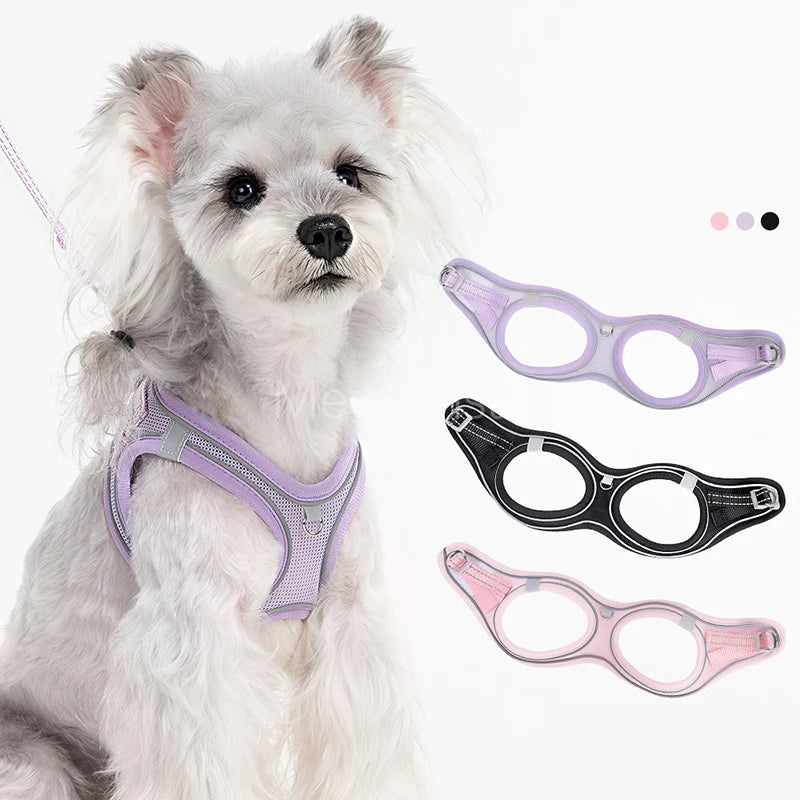 Breathable Sport Small Dog Harness Set Reflective No Pull Step-in Puppy Vest Harness for Daily Walking Accesorios Para Perros
